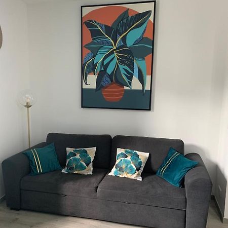 Appartement Etat Neuf La Chantalane -Proche Centre-Ville Cannes Eksteriør billede
