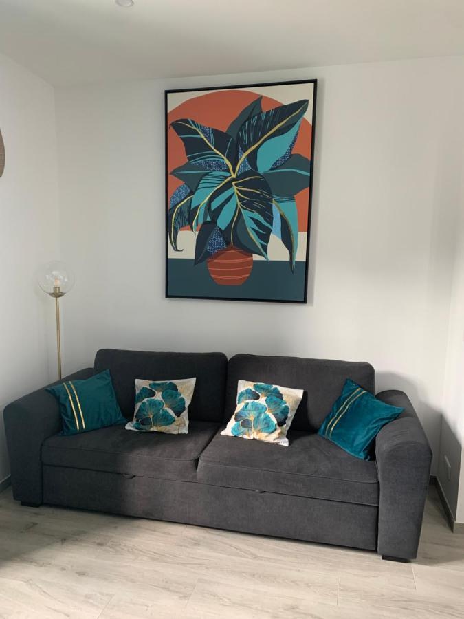 Appartement Etat Neuf La Chantalane -Proche Centre-Ville Cannes Eksteriør billede